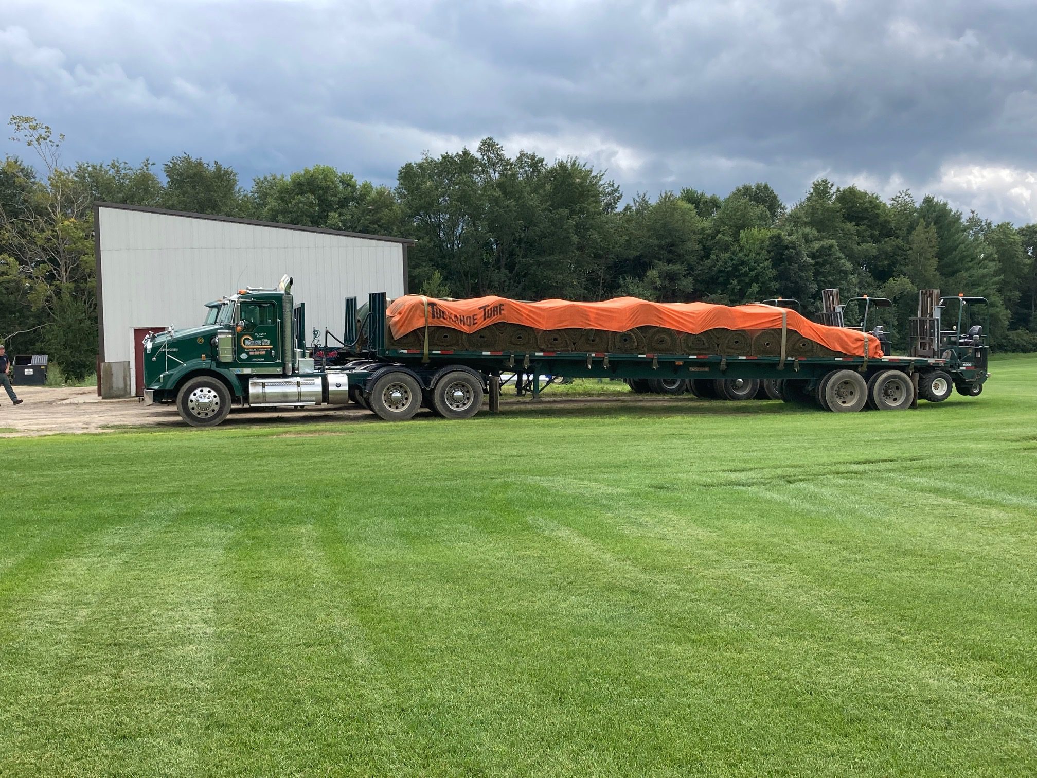 Company Highlight: Tuckahoe Turf Farms – Premium Turfgrass Sod Supplier